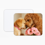 Photo of 10"x8" – Full photo – 5
