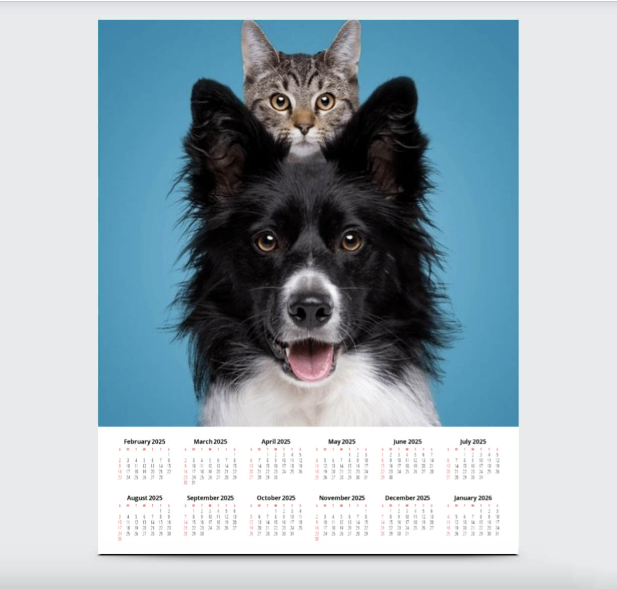 Photo of 12"x18" – 110lb Matt Card Stock
