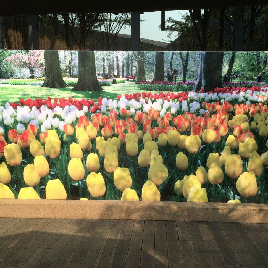 Backdrop Printing and install - Arrow Print Canada