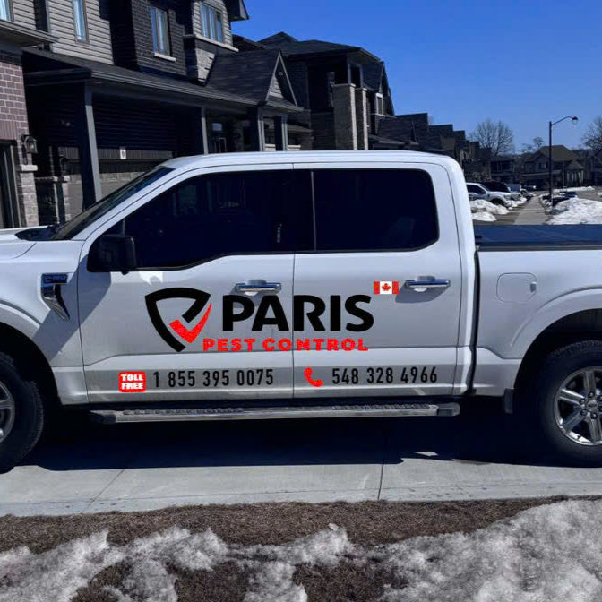 Photo of Custom Business Car/Vehicle Decal/Personalized Branding – 8.5"x10"