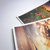 Wide format printing