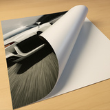 Removable Wall Decals