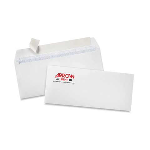 #10 Envelopes Security